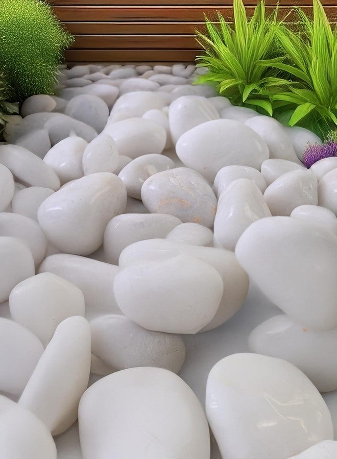 VANNEF® Premium Black&White Polish Stone Ornamental River Rocks Tumbled Stones for Landscaping Home Decor Crafts Garder Aquirum/Fish Tank (400 gm Black&White) - Image 5